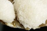 Scolecite Crystals on Honey-Colored Stilbite - India #365997-1